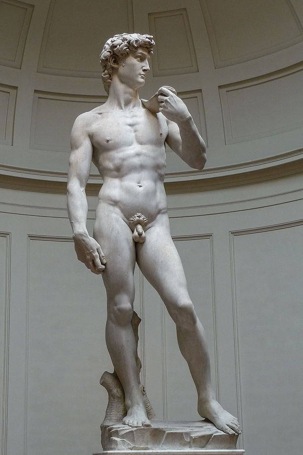 audioguida David di Michelangelo