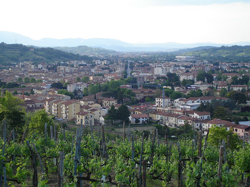 Audioguida Montevarchi