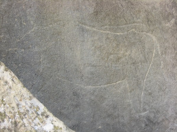 Gobustan: immagini sulle rocce e paesaggio