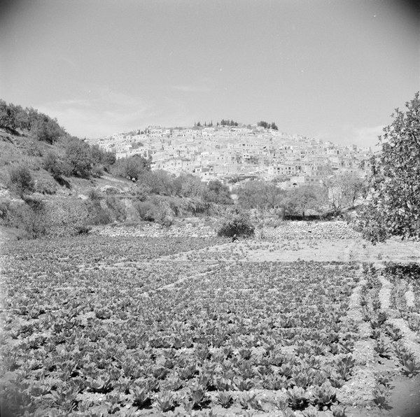 Audioguide di As-Salt, Giordania > Balqa