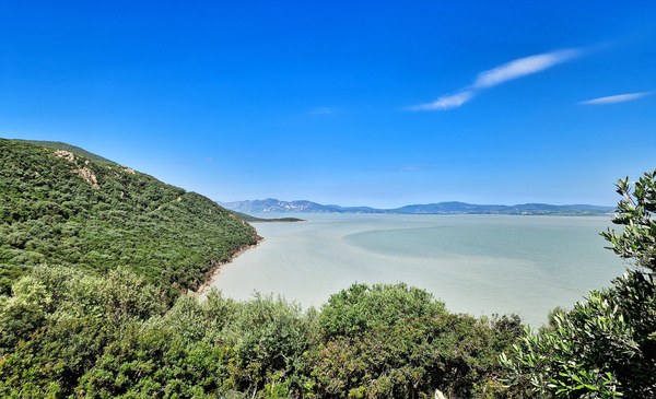 Ichkeul: il lago, le paludi e gli uccelli