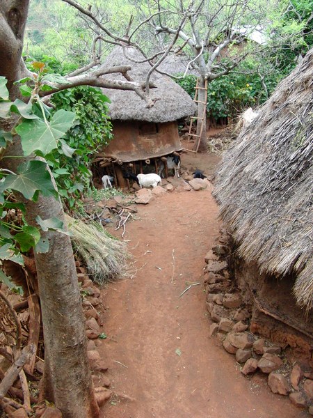 Konso: terrazze, villaggi e memoria