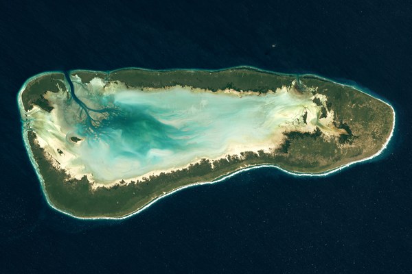 Aldabra: l'atollo delle tartarughe giganti