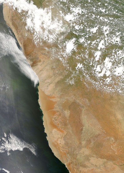 Namib: il mare di sabbia e la vita nella nebbia