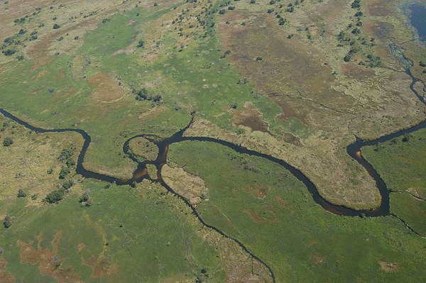Okavango: il delta che incontra il deserto, Delta dell'Okavango
