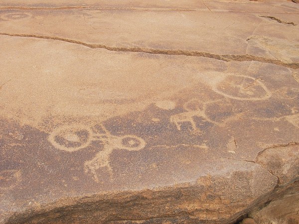 Twyfelfontein: gli animali incisi nella pietra