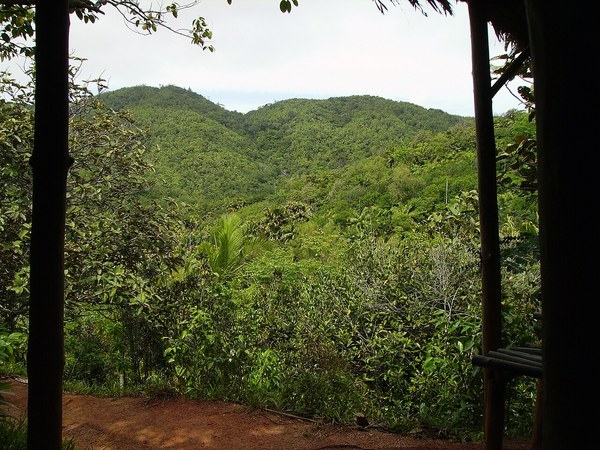Audioguide di Vall�e de Mai, Seychelles > Isola di Praslin