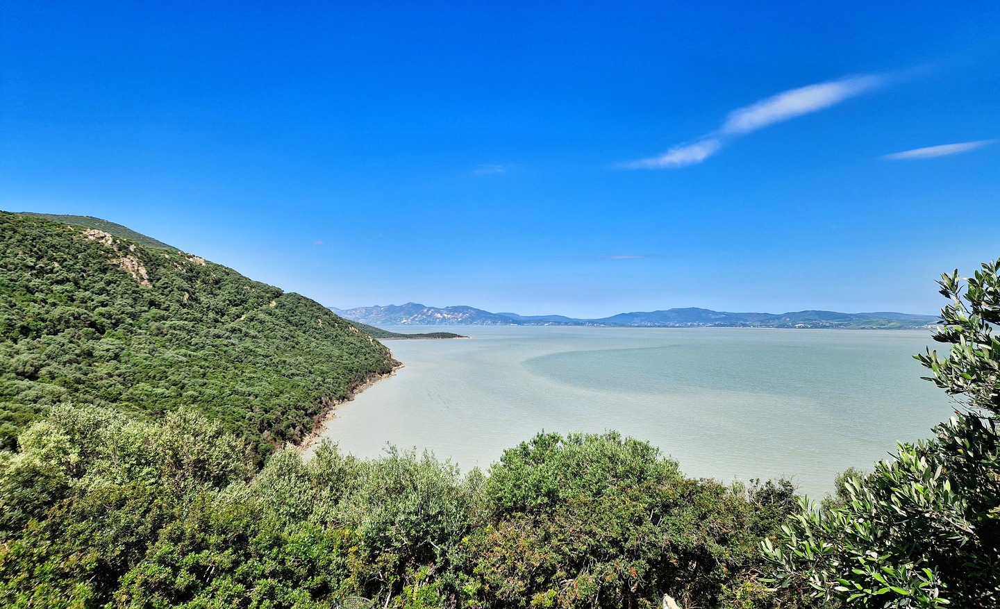 Audioguida Ichkeul: il lago, le paludi e gli uccelli