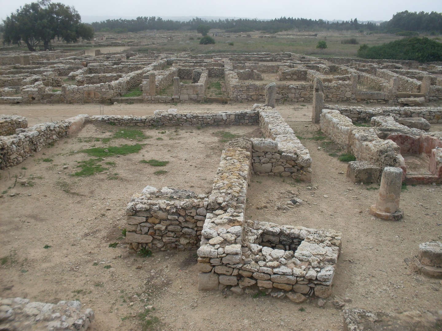 Audioguida Kerkuane: le case della citta punica