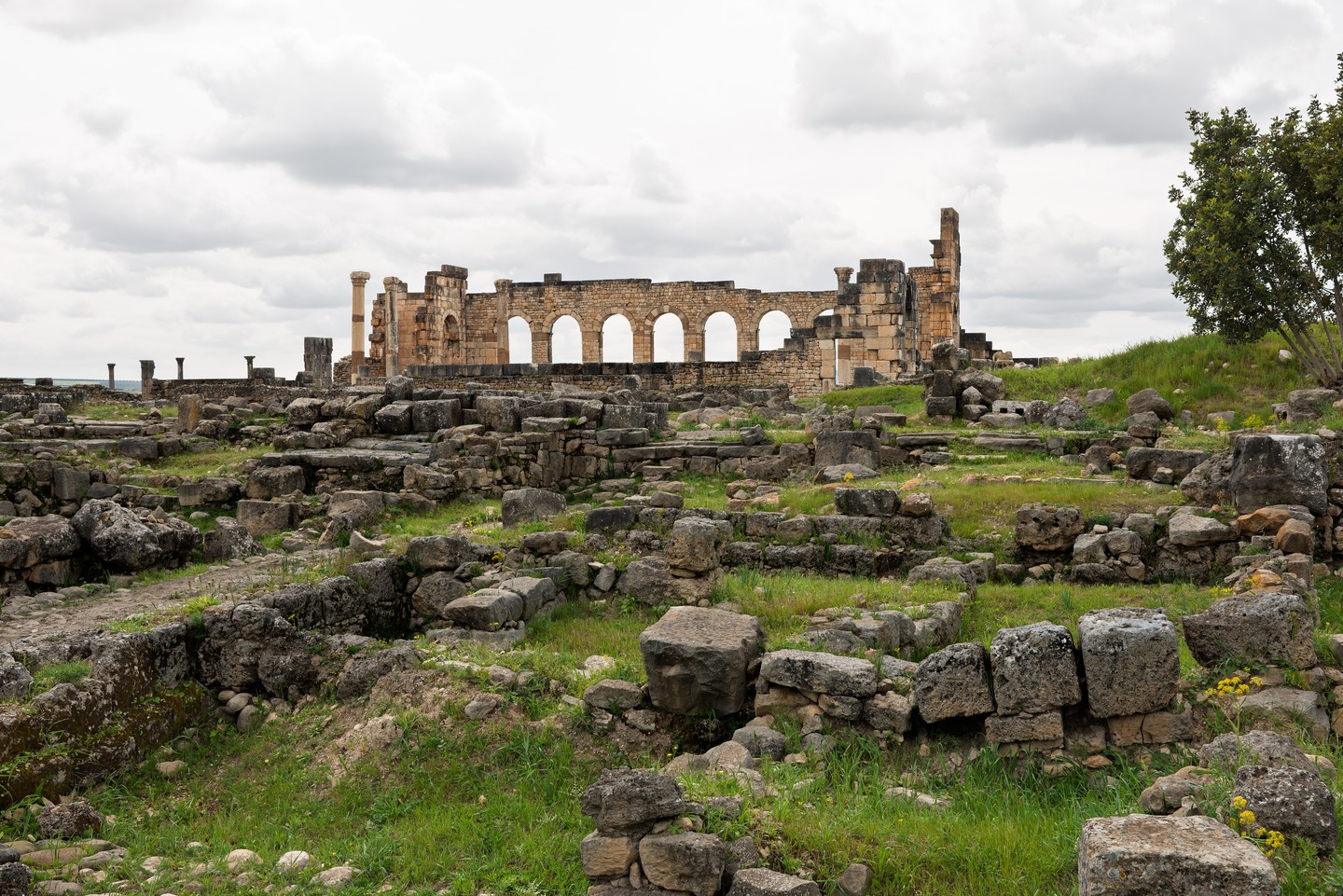 Audioguida Volubilis: la citta romana e i suoi mosaici