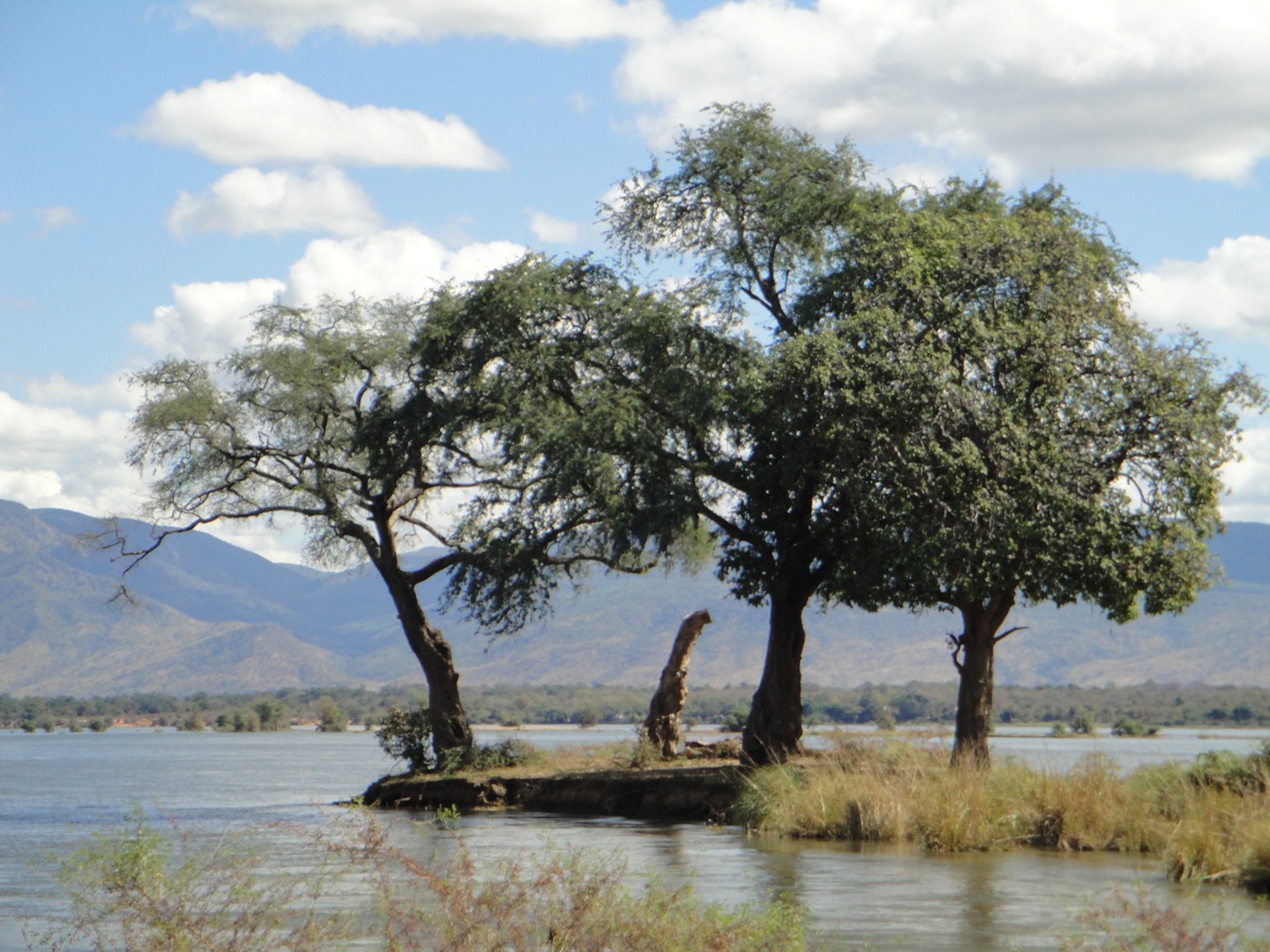 Audioguida Mana Pools: il paesaggio del fiume Zambesi