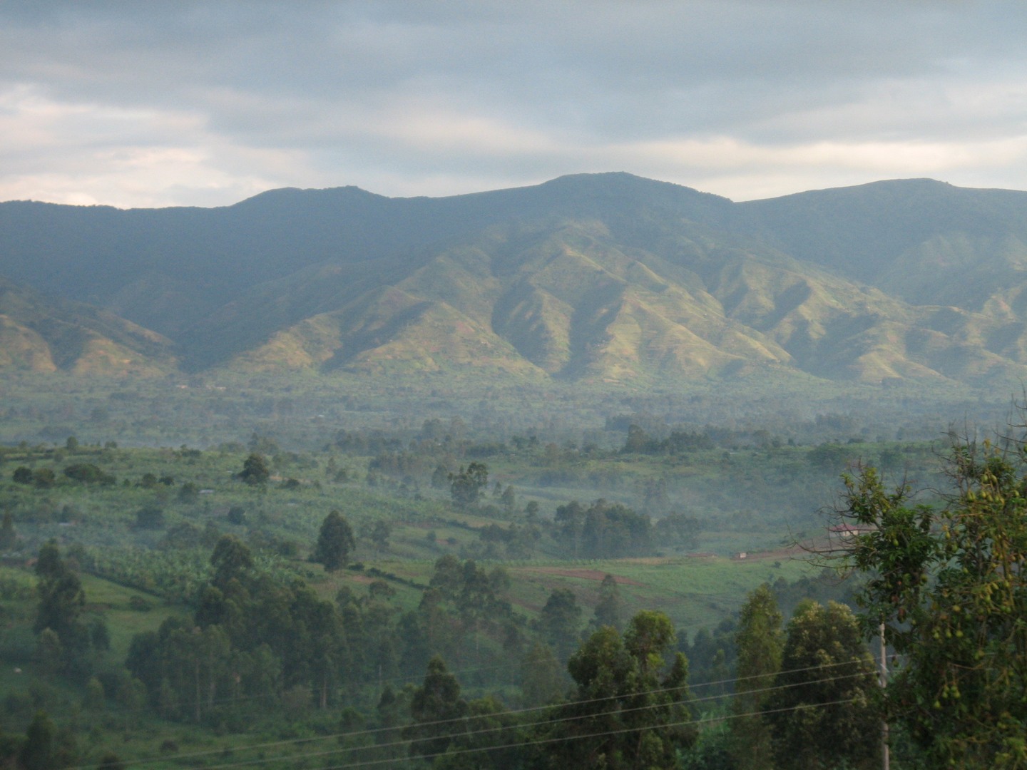 Audioguida Rwenzori: le montagne della luna