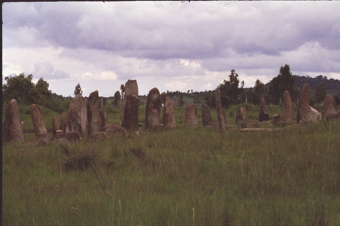 Audioguida Tiya: il paesaggio delle stele