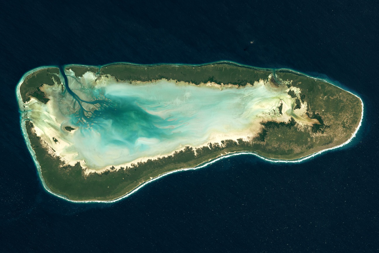 Audioguida Aldabra: l'atollo delle tartarughe giganti