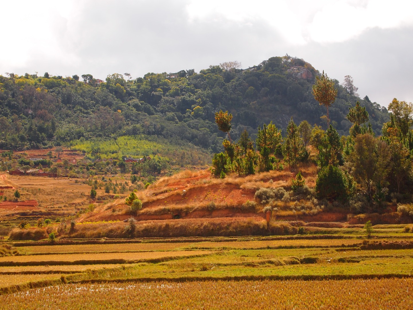Audioguida Ambohimanga: la collina sacra del Madagascar