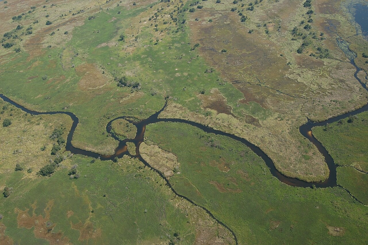 Audioguida Okavango: il delta che incontra il deserto