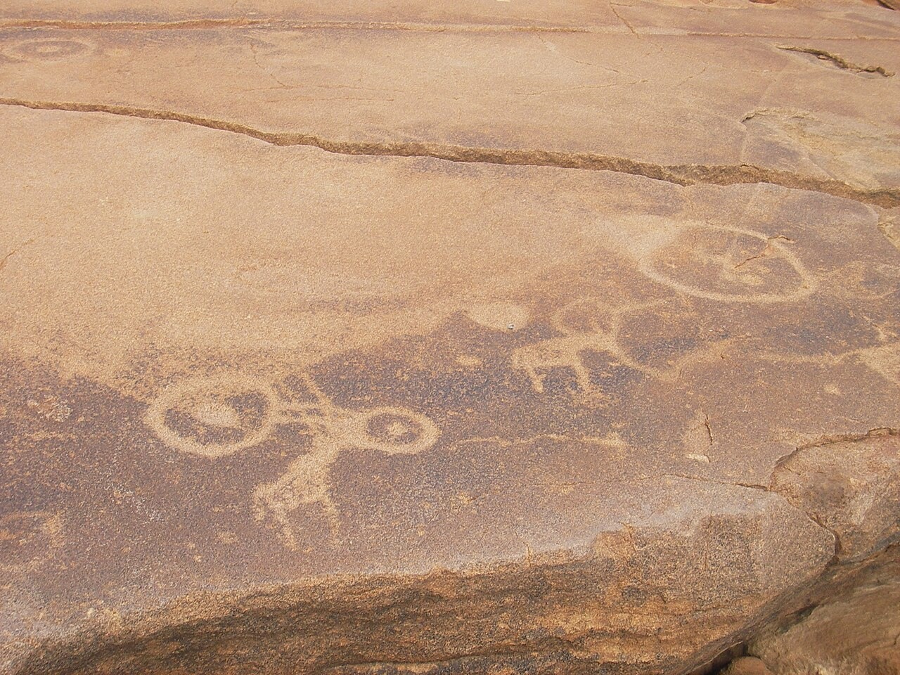 Audioguida Twyfelfontein: gli animali incisi nella pietra